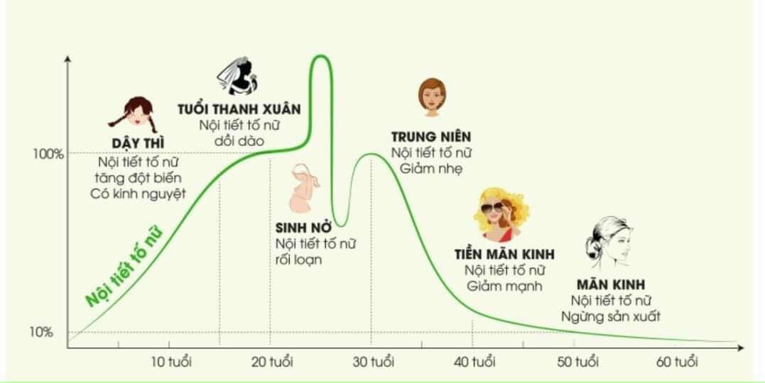 bieu-do-ve-su-thay-doi-noi-tiet-to-estrogen-qua-tung-do-tuoi