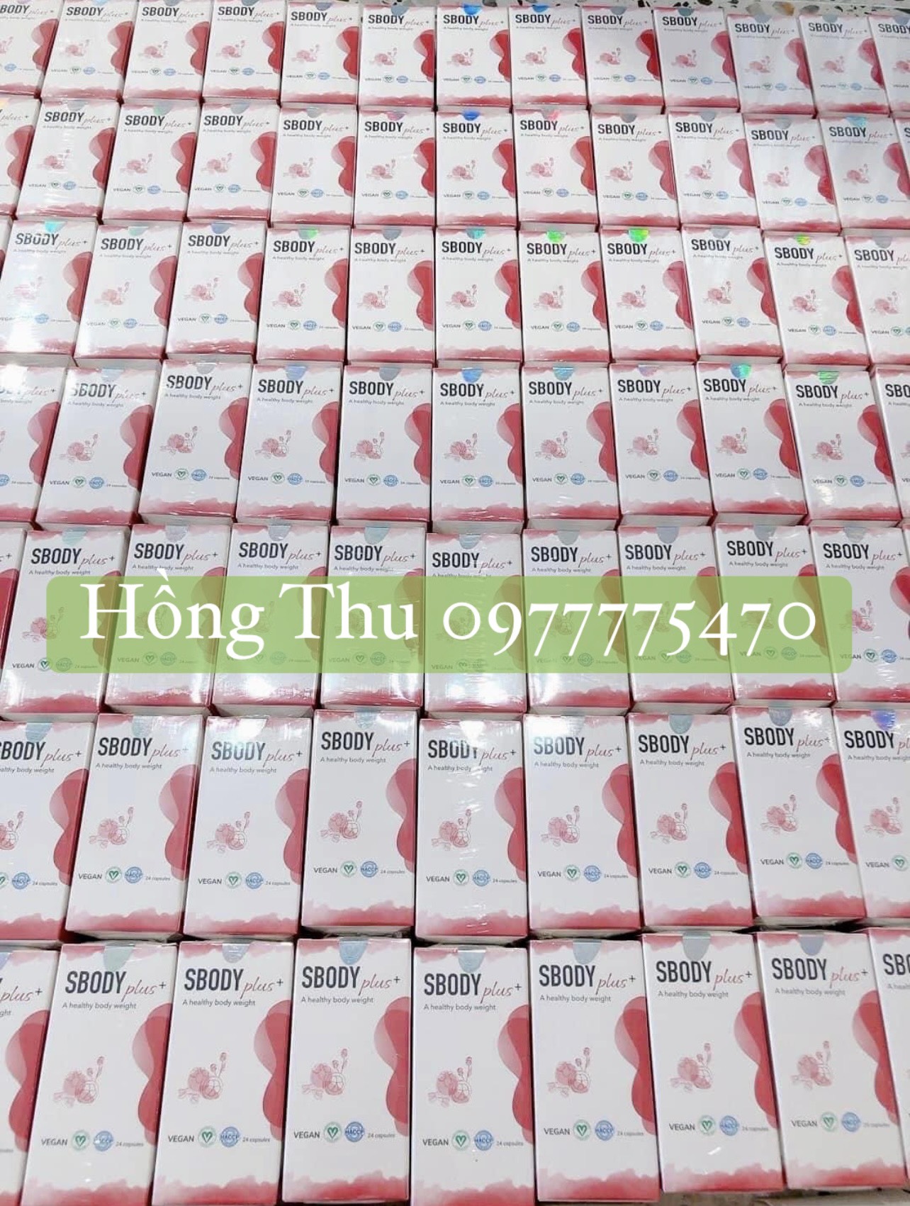 cach-dung-sbody-plus-hieu-qua
